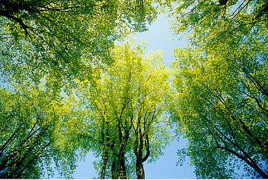 《史诗奇幻战斗模拟器》8月31日登陆Steam抢先体验